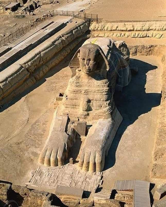 Giza (@alienadashow) / X