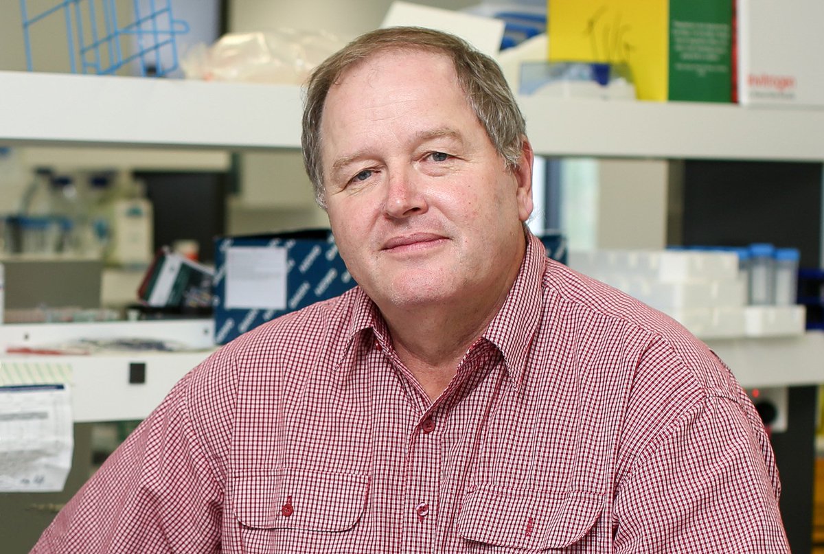 CMRI (@cmri_aus) on Twitter photo Congratulations to Professor Ian Alexander who is part of an exciting new world-first gene therapy trial for diabetes which has been funded by the Medical Research Future Fund.
Read more here: health.gov.au/ministers/the-…
<a href="/GarvanInstitute/">Garvan Institute of Medical Research</a> Congratulations to Professor Ian Alexander who is part of an exciting new world-first gene therapy trial for diabetes which has been funded by the Medical Research Future Fund.
Read more here: health.gov.au/ministers/the-…
<a href="/GarvanInstitute/">Garvan Institute of Medical Research</a>
