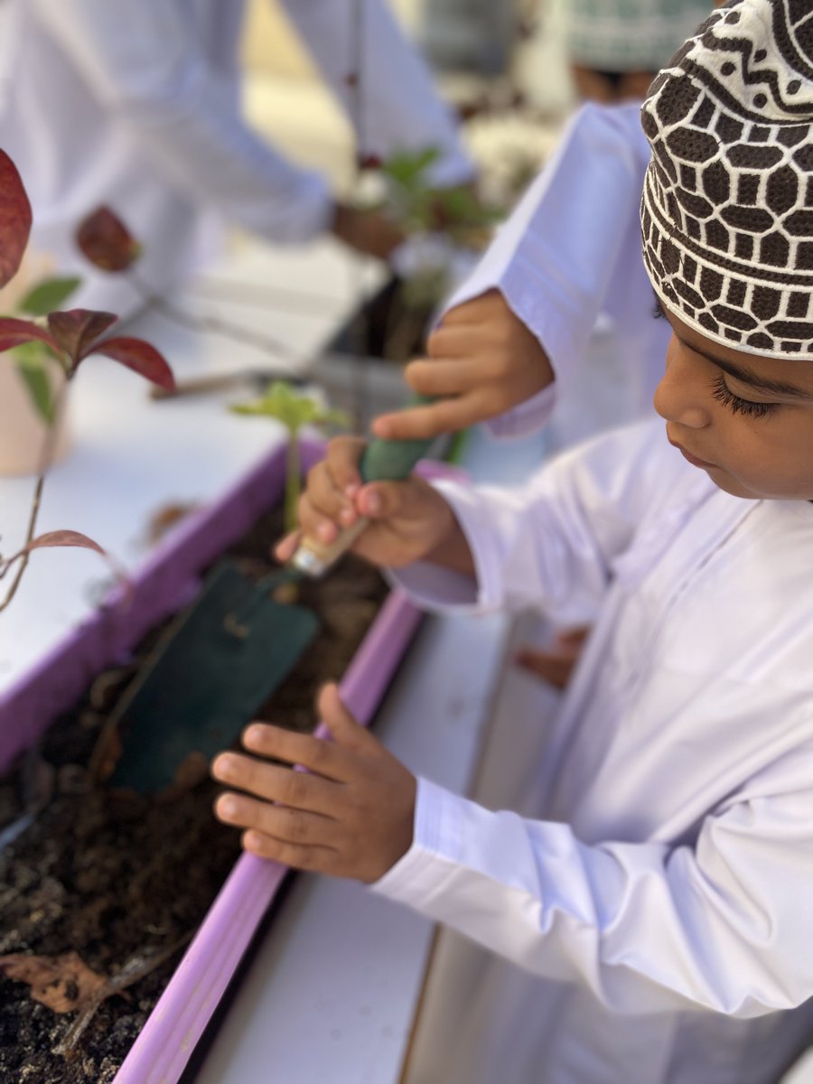 EduGovMct1627's tweet photo. جانب من الاحتفال ب #يوم_الشجره_العماني في طابور الصباح وبمشاركة الأسرة التربوية والطلبة 🌴
#فعاليات_تعليمية_مسقط #مدارسنا_مستقبل_واعد https://t.co/Lw8btYJWc6