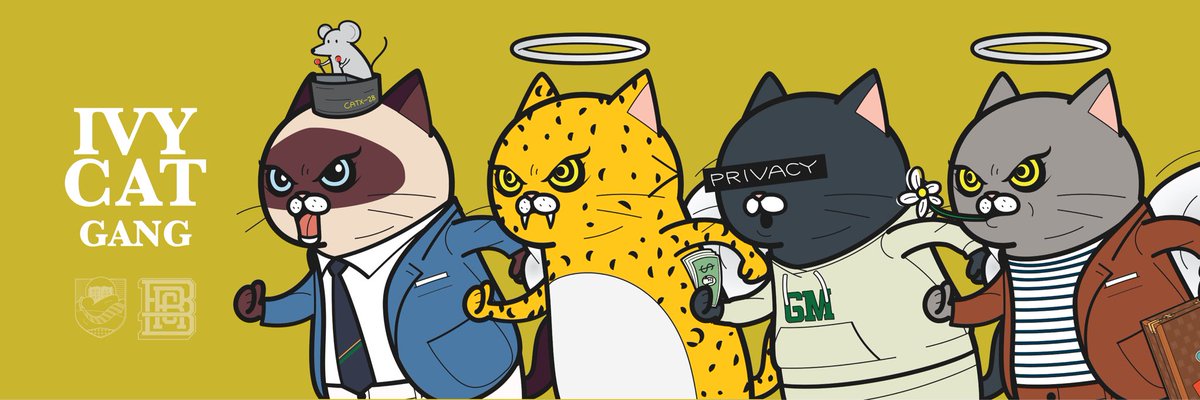 Rodolfo_psc's tweet photo. Meow Meow #IVYCATGANG @BBRCOfficial #IVYPETS https://t.co/MaRuwF9zLn