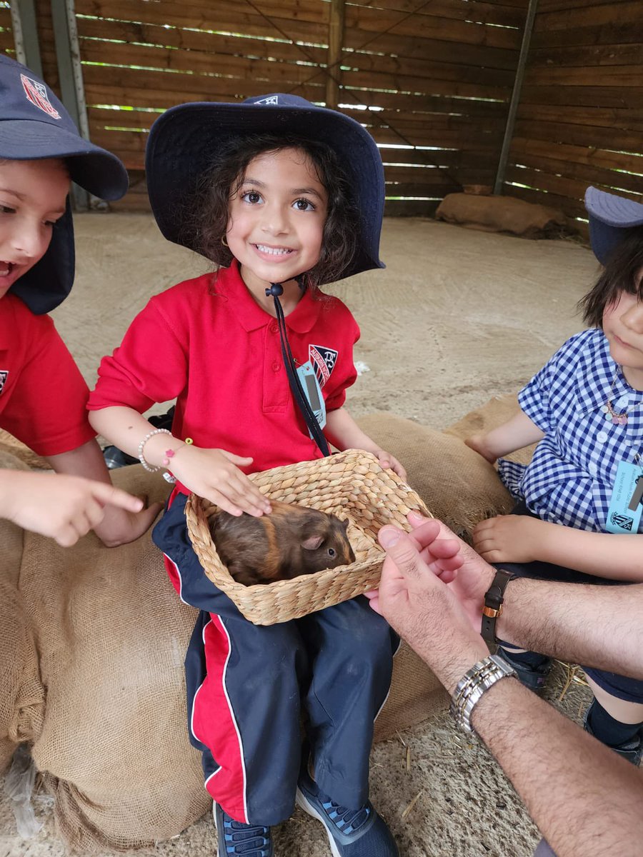 3/3 Finally, Kindergarten got to experience holding a baby chick and patting a duckling, rabbit and guinea pig 🐥🐰 We had such a fun day at the farm. The memories we made today will stay with us forever 🐑🐥🐖🐐🐓🦙