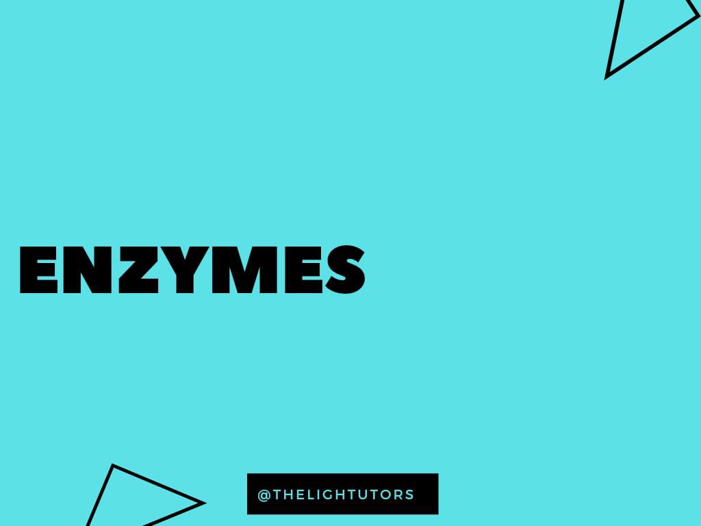 thelightutors's tweet photo. Good Morning from TLT! It’s once again time for our favorite series, #MondayTidbits. Our topic for the day is Enzymes✨
#thelightutors #Onlineclass #tutoring #Halloween https://t.co/f53P8gNfWb