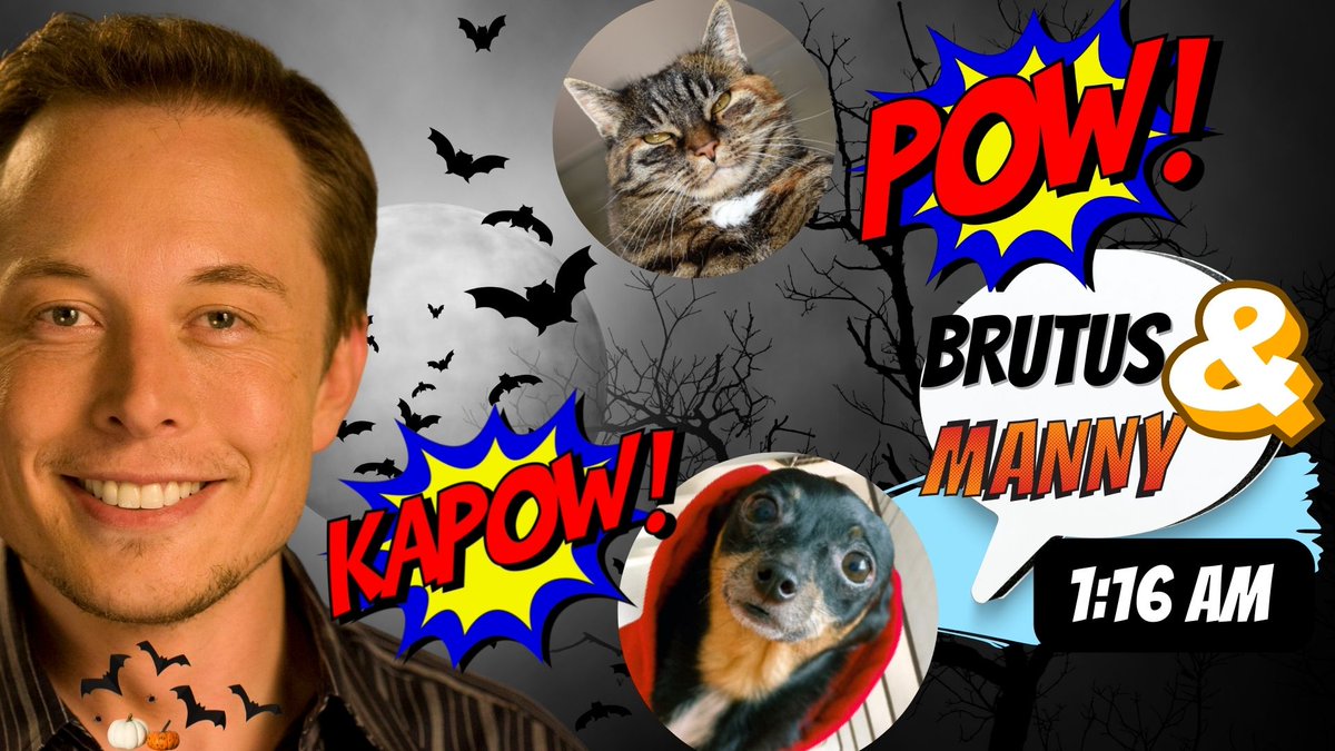 DailyTipples's tweet photo. This COULD BE the most #EPIC @elonmusk #Halloween #Tweet Ever! 

https://t.co/2ZECTNQHq3

#ELONMUSK #ElonTwitter #ElonMuskBuyTwitter #Halloween #Halloween2022 #ViralVideos @YouTube https://t.co/HNNsnNhBgN