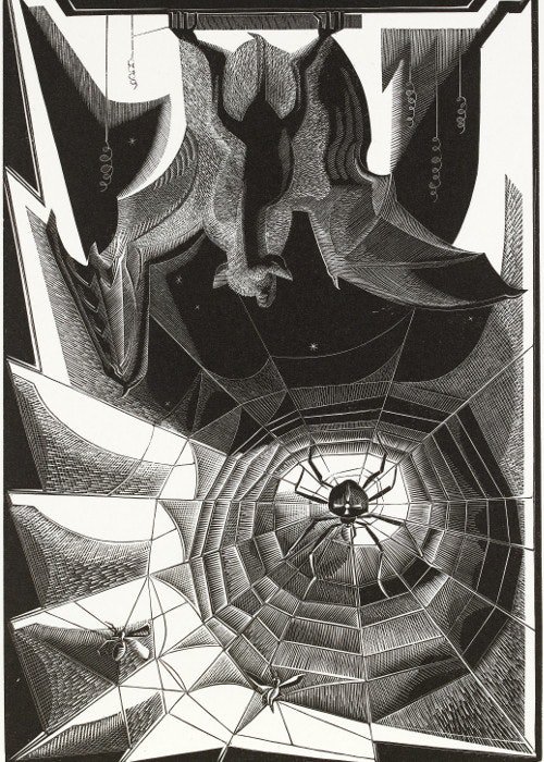 Gertrude Hermes, Bat and Spider, wood engraving, 1932 #WomensArt