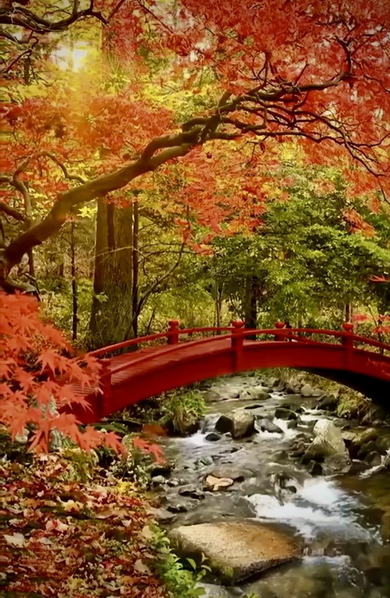 FemmeWeb3's tweet photo. Have a nice day everyone https://t.co/nVSA3zVloZ