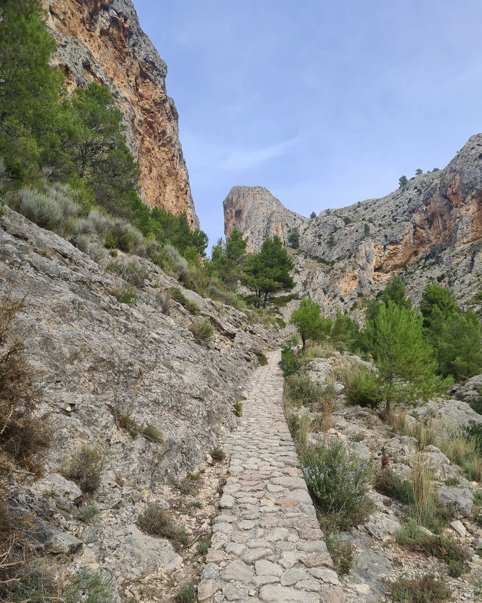 ¿Conoces el Barranc del Cint? 🌳⛰️ Disfruta de una ruta senderista entre grandes paredes verticales y escaleras de piedra. #Alcoi #CostaBlanca