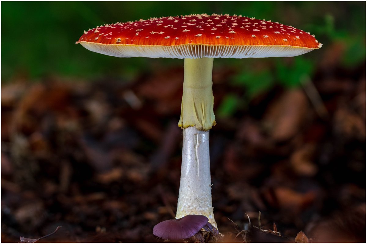 Darren Sugden tweet media