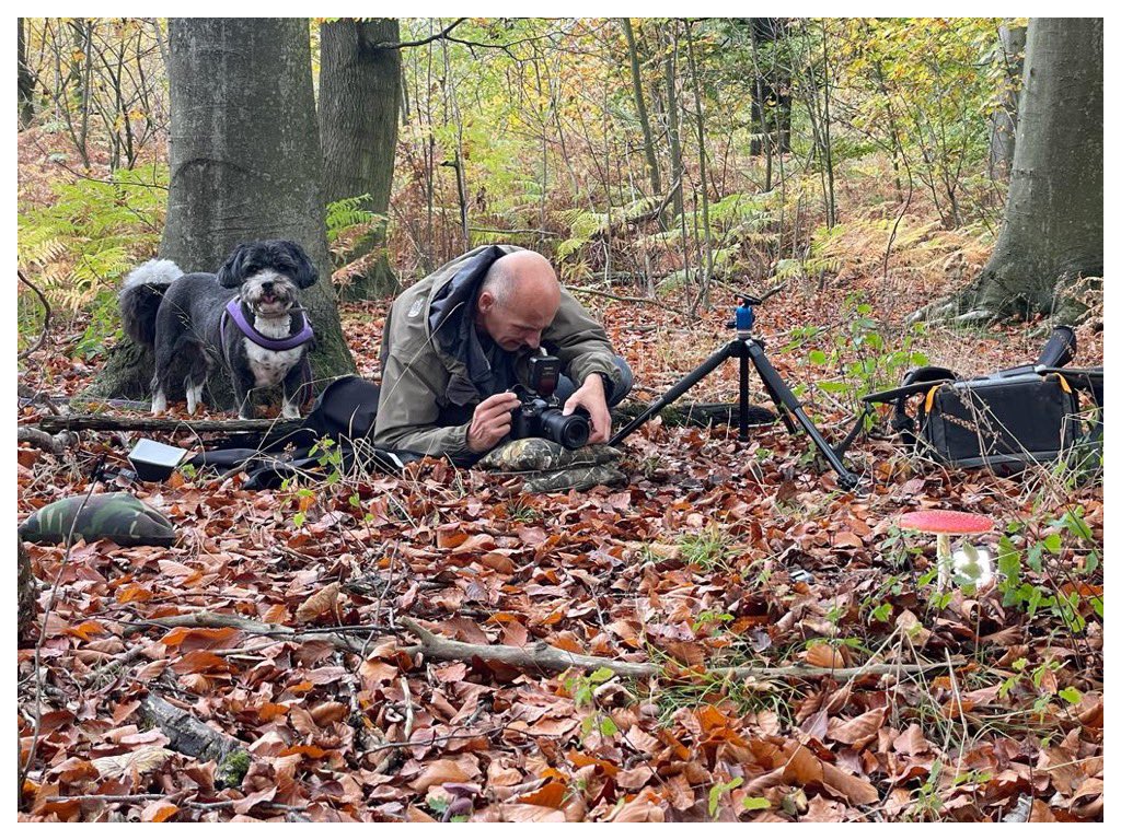 Darren Sugden tweet media