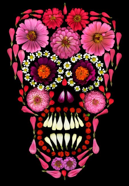 Portia Munson, Skull Flower, 2008 #WomensArt