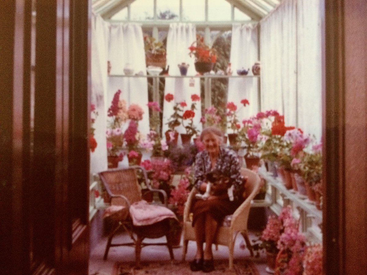 #NanShepherd in her conservatory. There's a painting of it by Barbara Balmer which, I think, captures her essence:
Image: NS Lit Estate
charlottepeacock.co.uk/2018/10/14/sea…