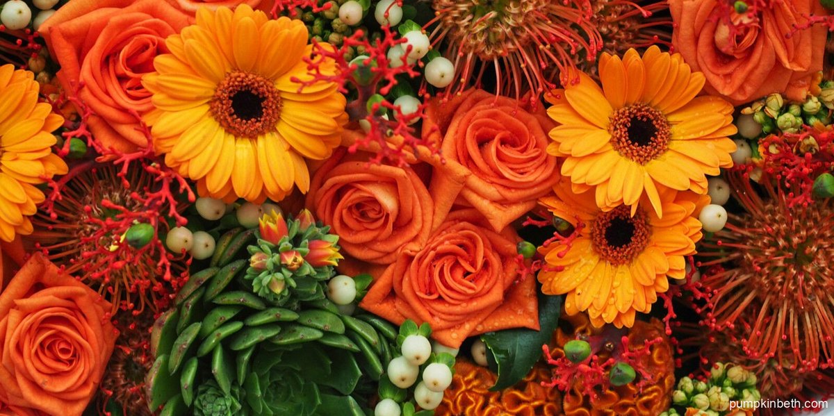 pumpkin_beth's tweet photo. Have you seen my Calendar of Nature & Gardening Zoom Talks & Webinars?
Here's a link: https://t.co/jNymrrJUmq
#Nature #Gardening #Garden #Plants #Flowers #Zoom #Online #NatureLovers #Sustainable #SustainableLiving #ZoomTalk #NatureLover #Indoor #Indoors #Relaxing #Relax #Flower https://t.co/iykGt8YYvd