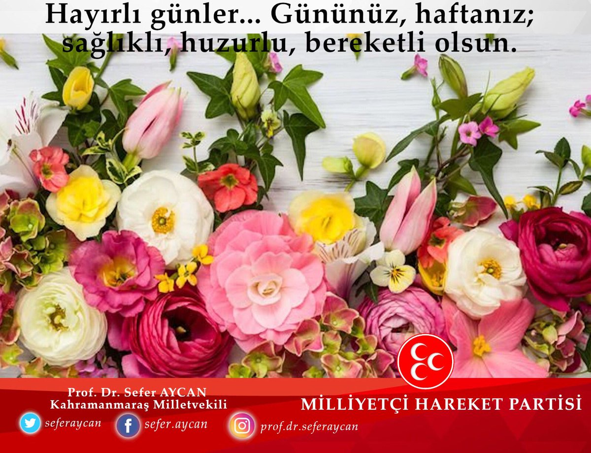 Aziz Türk Milletine sağlıklı,huzurlu, bereketli,hayırlı yeni gün ve hafta dilerim. #Günaydın #HayırlıHaftalar