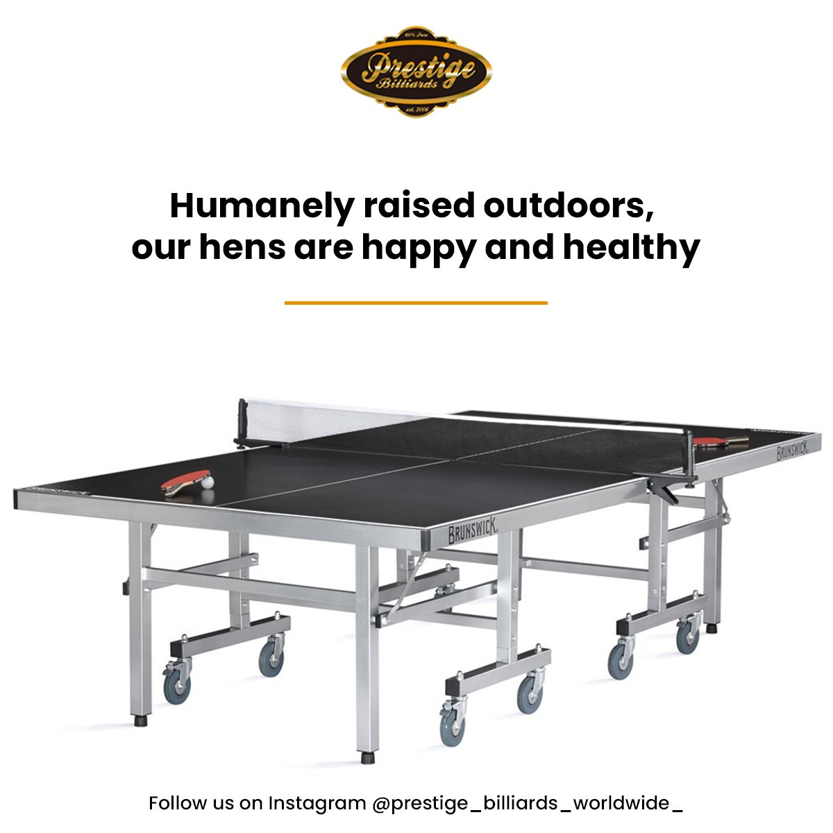 pooltableaz's tweet photo. Get a table tennis table in our outdoor area. The perfect game for anyone who wants to keep healthy is table tennis.
Follow us on Instagram @prestige_billiards_worldwide_
#Tabletennis #Tabletennistable #furnituremakeover #games #furniture #gamers #indoorgames #arizona https://t.co/ZpL26UV6cI