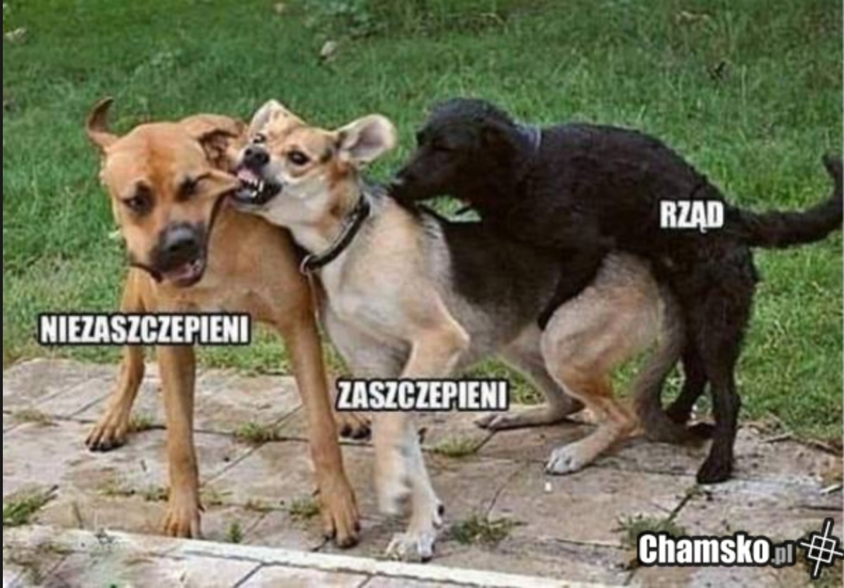 Axlowy's tweet photo. @PiotrWitczak_ https://t.co/DA73HrJ1nl