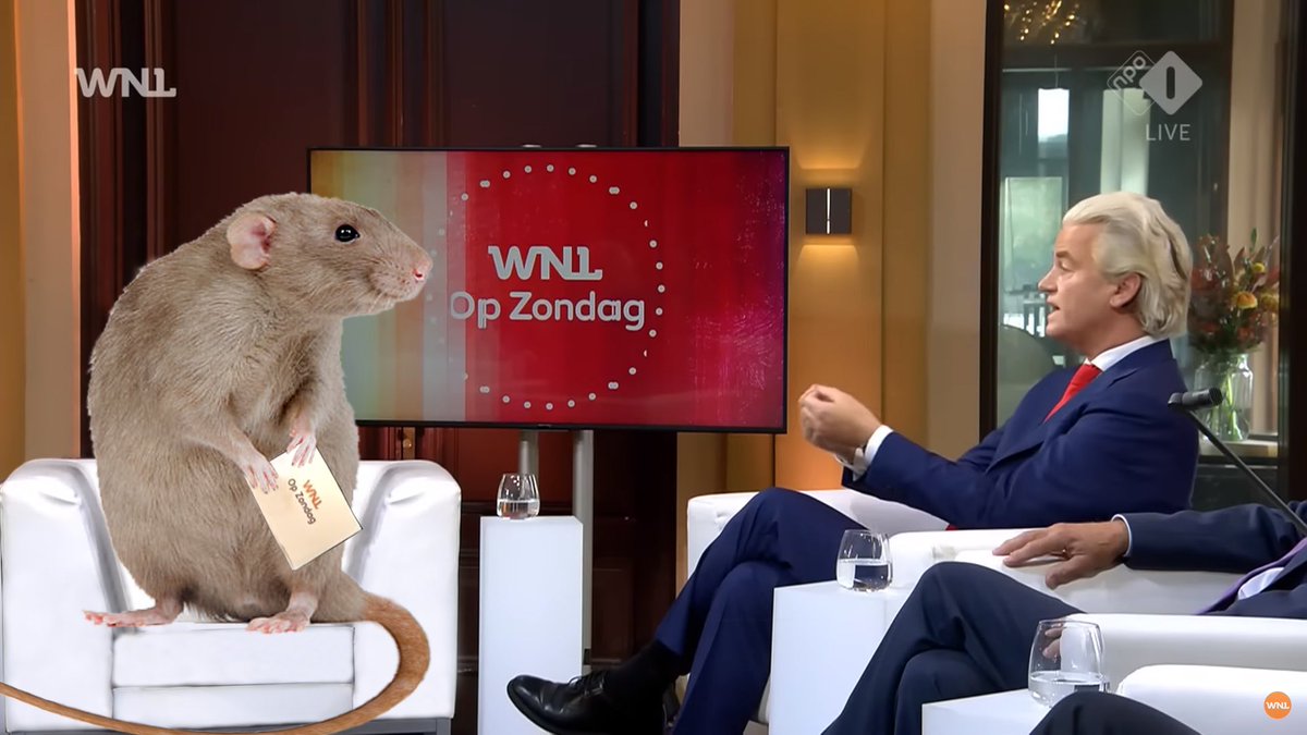 Rick Nieman is een rat 🐀 🤮
@ricknieman 
#Rat