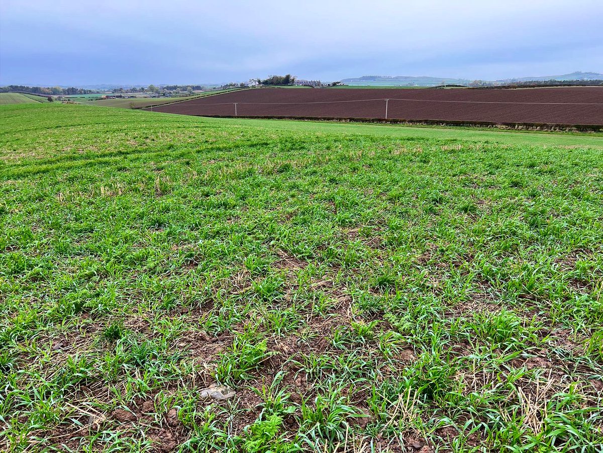 Andy Baird tweet media