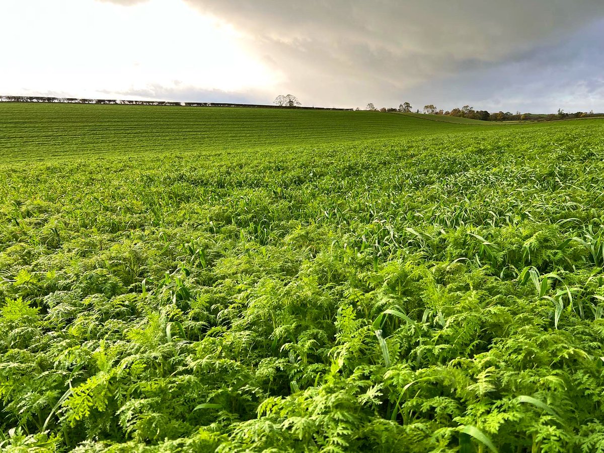 Andy Baird tweet media