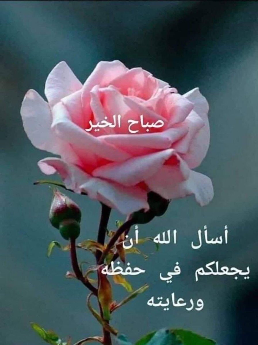 BdzMyt's tweet photo. @qUaSHkCxq0cpSKH https://t.co/X5yUAMA5Yg