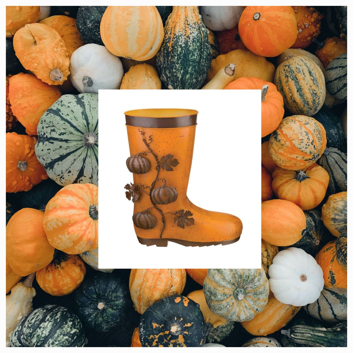 🎃 Happy Halloween 🎃
Wishing you all a spooky day 🎃👻🧙‍♀️🧹
#Halloween #bookham 
<a href="/CasseldensShoes/">Casseldens Neetandkwik Shoe Repairs</a> <a href="/MVforBusiness/">Mole Valley For Business</a>