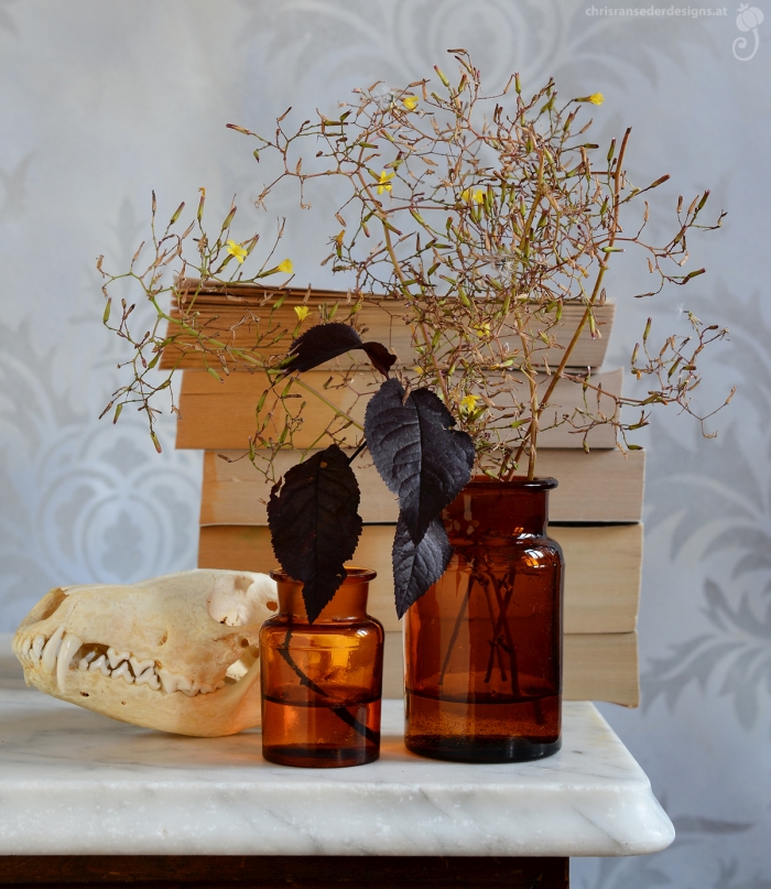 Guten Morgen! Welches Tiny Bouquet No. 66 passt besser zur Stimmung? Dunkel/mysteriös oder hell/makaber? Dem Weidenlattich war es egal, er schloss während der Fotosession die Blüten und ging schlafen.
#stilllife #flowerphotography #TinyBouquets