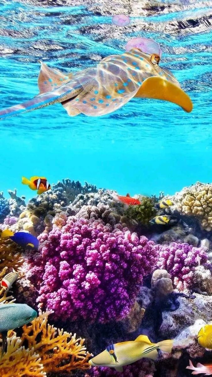 يا رب مع هذا الصباح ارزقنا أيام جميلة وأخبار مفرحة ؛وشعور جميل ونفس مقتنعة وقلب مرتاح وراحة بال .. 
صباح الورد والفل والياسمين عليكم