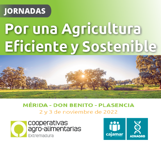 📢Ciclo de jornadas de <a href="/CooperativasExt/">Cooperativas Agro-alimentarias Extremadura</a> 

🌾El uso eficiente del #agua y la #digitalización de explotaciones 

🗓️2 y 3 de noviembre
📍Mérida, Don Benito, Plasencia

Con <a href="/Cajamar/">Grupo Cajamar</a> <a href="/ADNAgroFood/">Cajamar ADNAgroFood</a> 

Información e inscripciones 👉 bit.ly/3Duk9XY