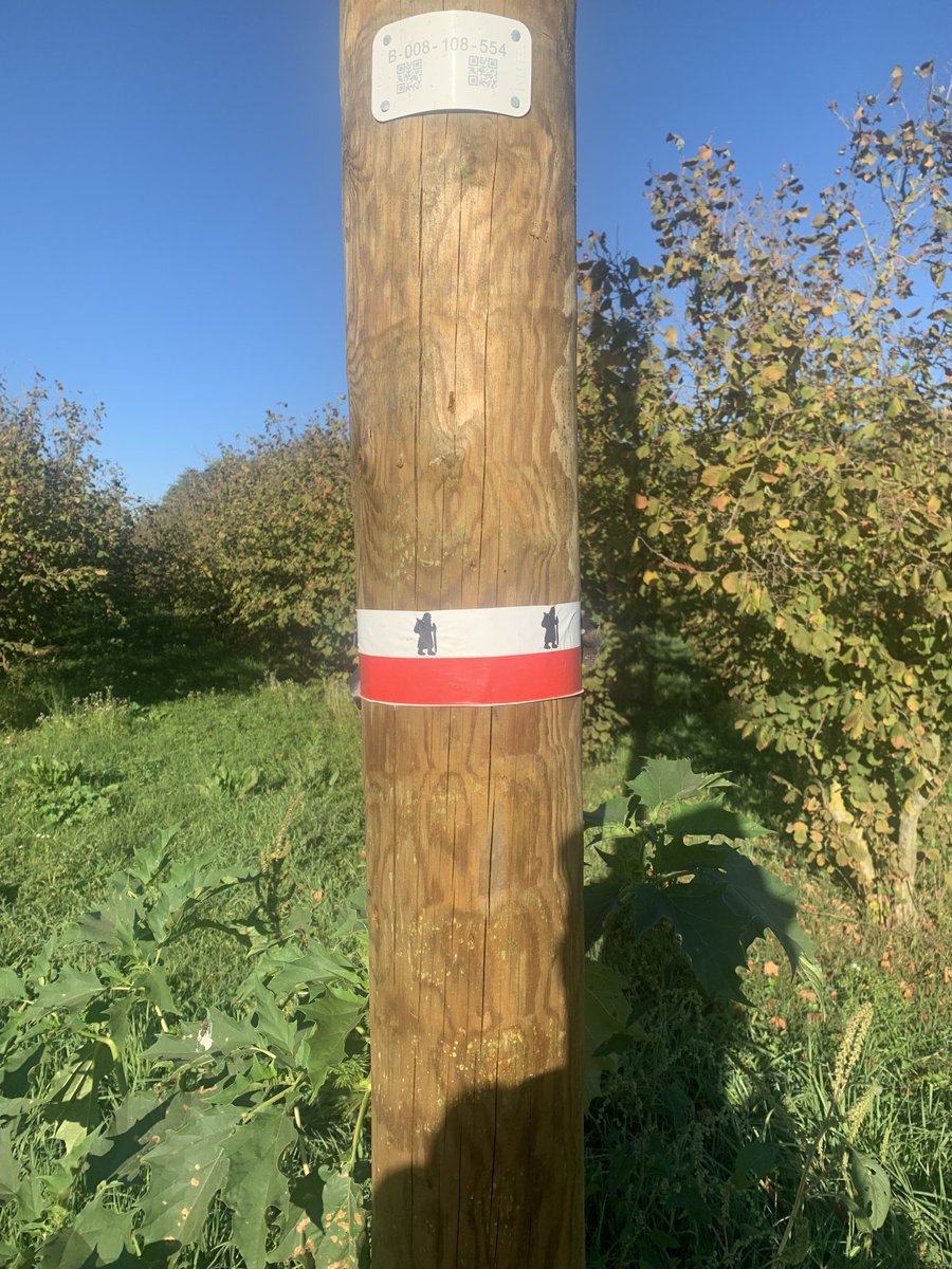 nickyork61's tweet photo. Ok this is crazy my phone is saying I’m massively off route, but I’m picking up the signs again, this is so weird https://t.co/g83sFwgMN1