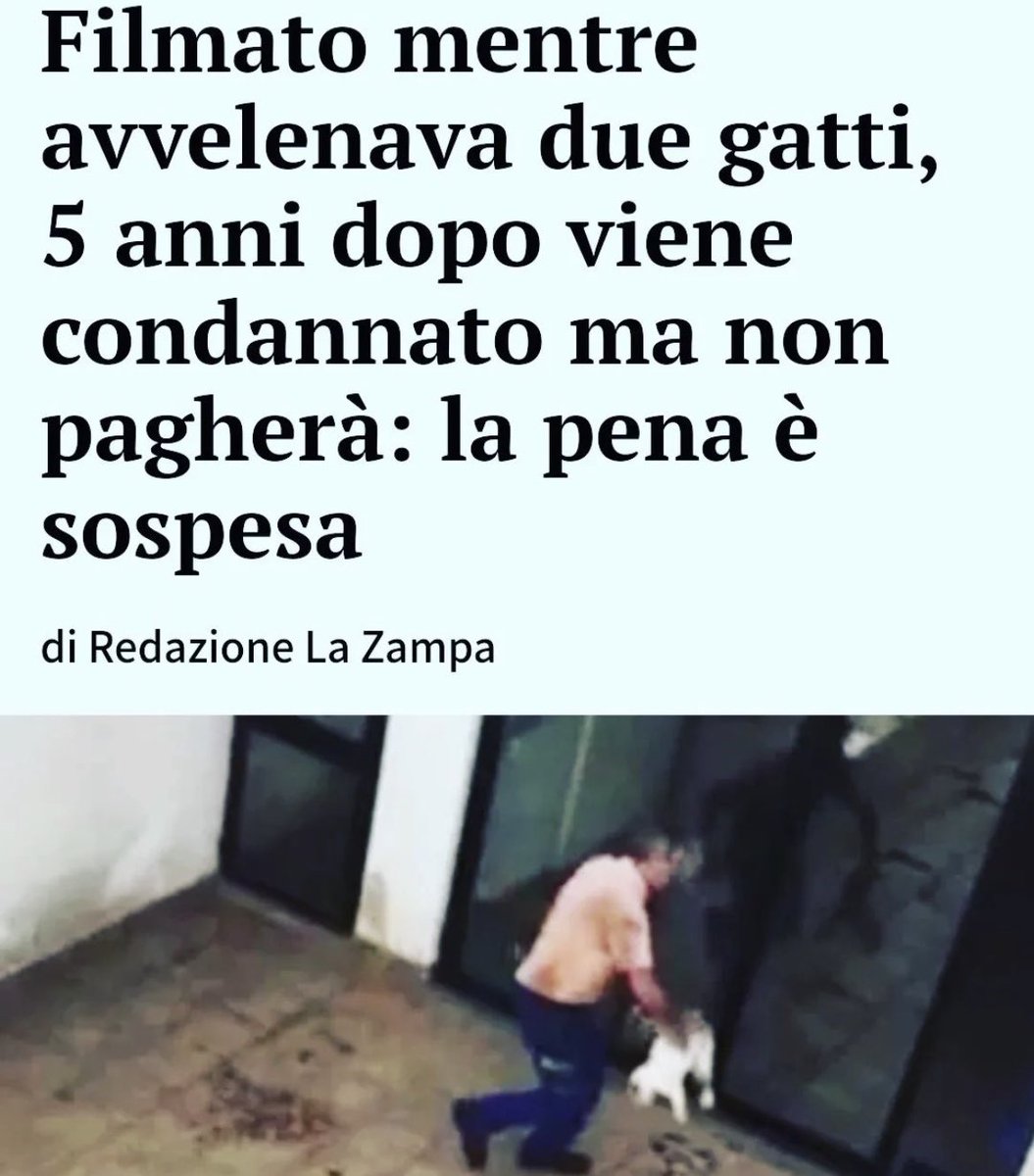 L’ho detto e lo ripeterò all’infinito: ancora prima di rendere le pene più severe, occorre renderle CERTE.

Spero che una delle priorità del governo sia istituire pene certe e severe per chi compie crimini contro gli animali, è una battaglia di legalità e civiltà.