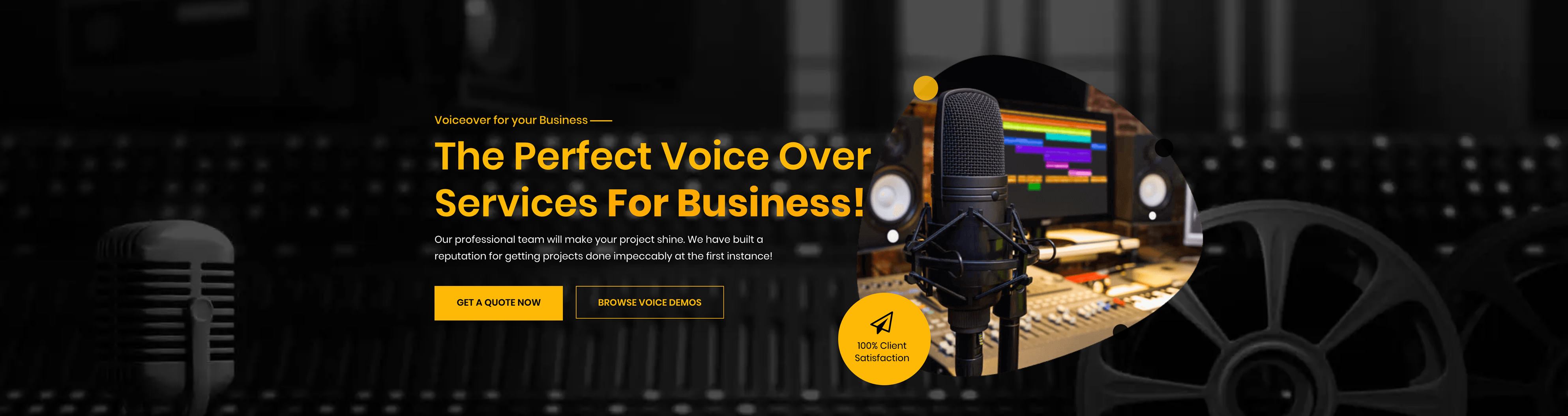 The perfect voiceover for your project