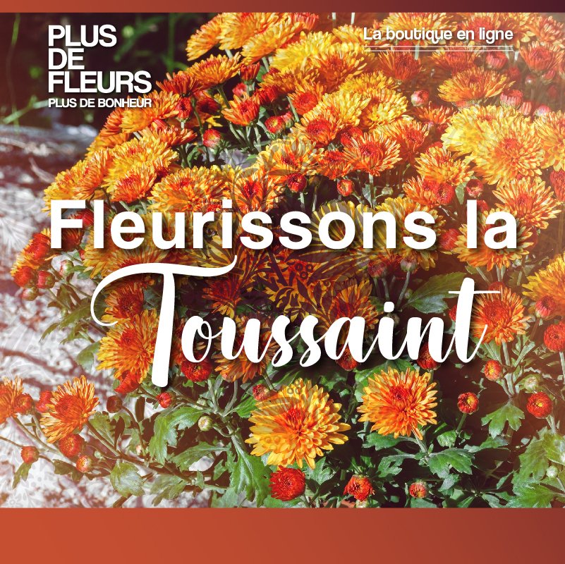 plusdefleurs's tweet photo. https://t.co/03rZX1dXvx https://t.co/90fzFaiQeL
