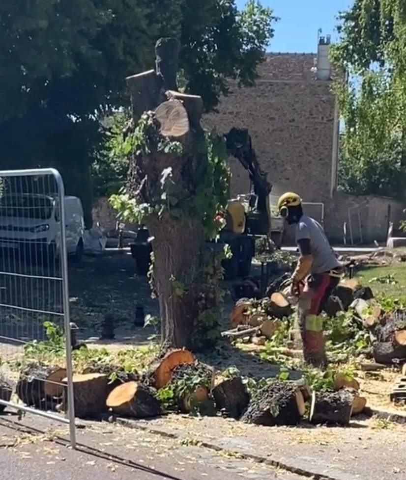 <a href="/hugoclement/">Hugo Clément</a> A #Villennessurseine ds les @Yvelines même chose : les élus #écolos détruisent les arbres pour installer ...une gare #routière tt en augmentant la fiscalité locale de +45%! #cynisme #opportunismepolitique <a href="/katialefeuvre/">Katia LEFEUVRE</a> <a href="/pfdegand/">Pierre-F DEGAND</a> <a href="/Pmatuchet/">Pierre Matuchet</a>