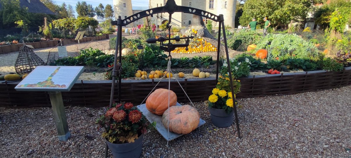 [patrimonio ] Il Castello di Rivau nella Valle della Loira con le decorazioni d’autunno . Installazioni nel parco con  diversi colori di zucche 🎃 🎃🎃 #ExploreFrance <a href="/ChateauduRivau/">Château du Rivau</a> <a href="/LoireValleyPR/">Loire Valley Tourism / CRT Centre-Val de Loire</a>