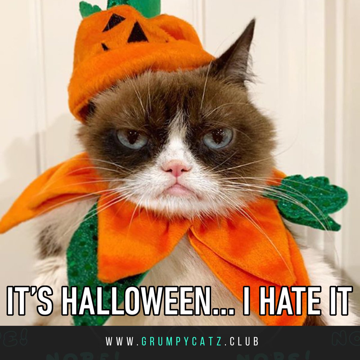 It's Halloween... I hate it 🎃
#NFT #NFTs #NFTGiveaway #Grumpycatznftz