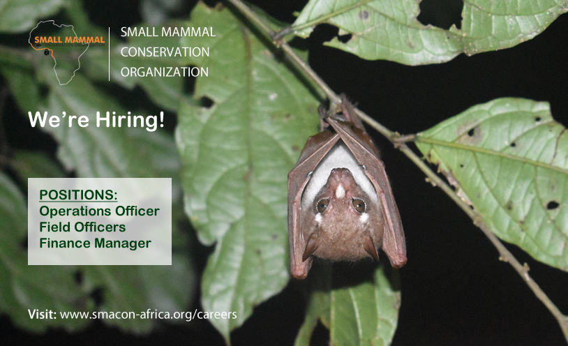 smaconbats's tweet photo. Join Us! Are you passionate about conservation?
Apply Now! https://t.co/Fx53mskPFS https://t.co/9QwKlhKZGB