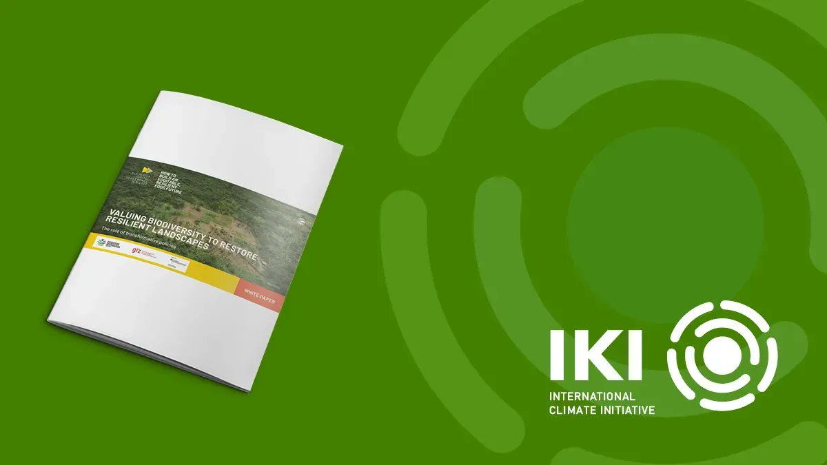 This #IKI supported White Paper explores how environmental policy instruments can trigger such a transformative change and hence solve this conflict in ecosystem restoration. Read now ➡ buff.ly/3TqZhHF