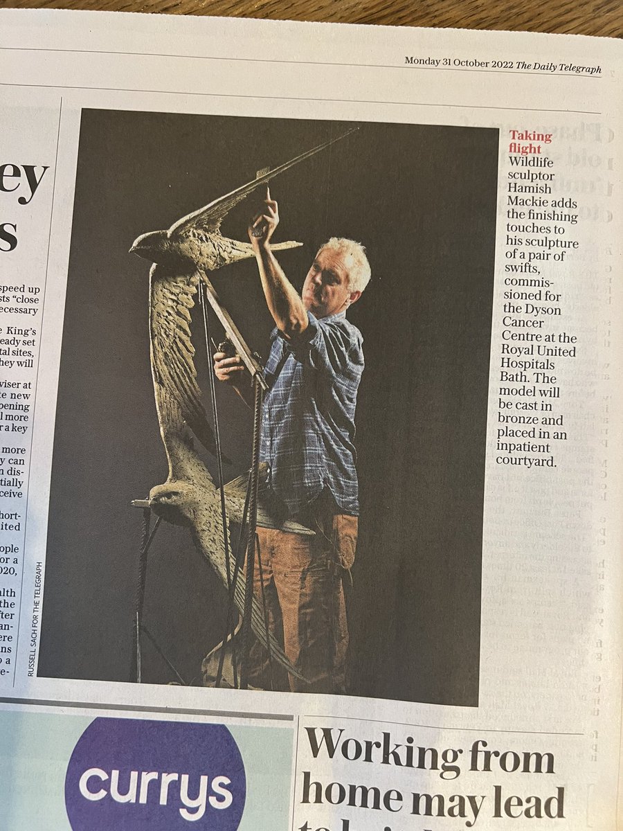 Have you seen the @telegraph this morning?  

Photograph showing my new Swifts 2022 in plasticine original, a commission for the new Dyson Cancer Centre @ruhbath 

Photo: Russell Sachs

#newspaper #thismorning #news #commission #sculpture #swifts @ruhxcharity @foundationdyson