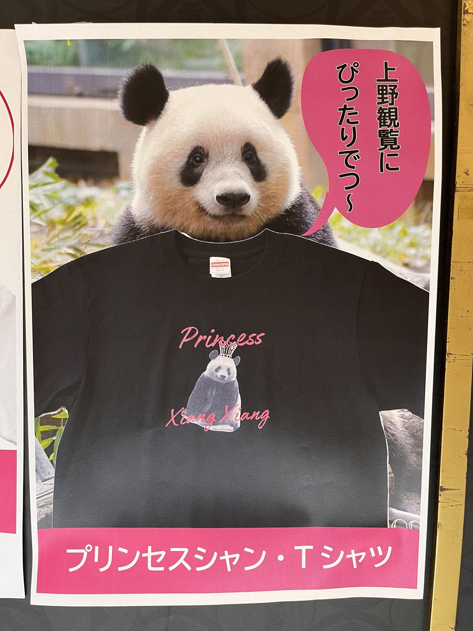 パンダ自身フェス シャンシャン サコッシュ パンダ自身 上野動物園