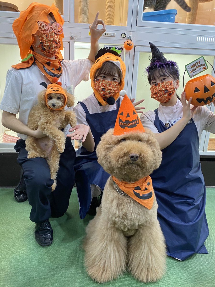 🎃ハッピーハロウィン🎃 みんな楽しく営業中😊 #ハロウィン #ZOO #ZOO