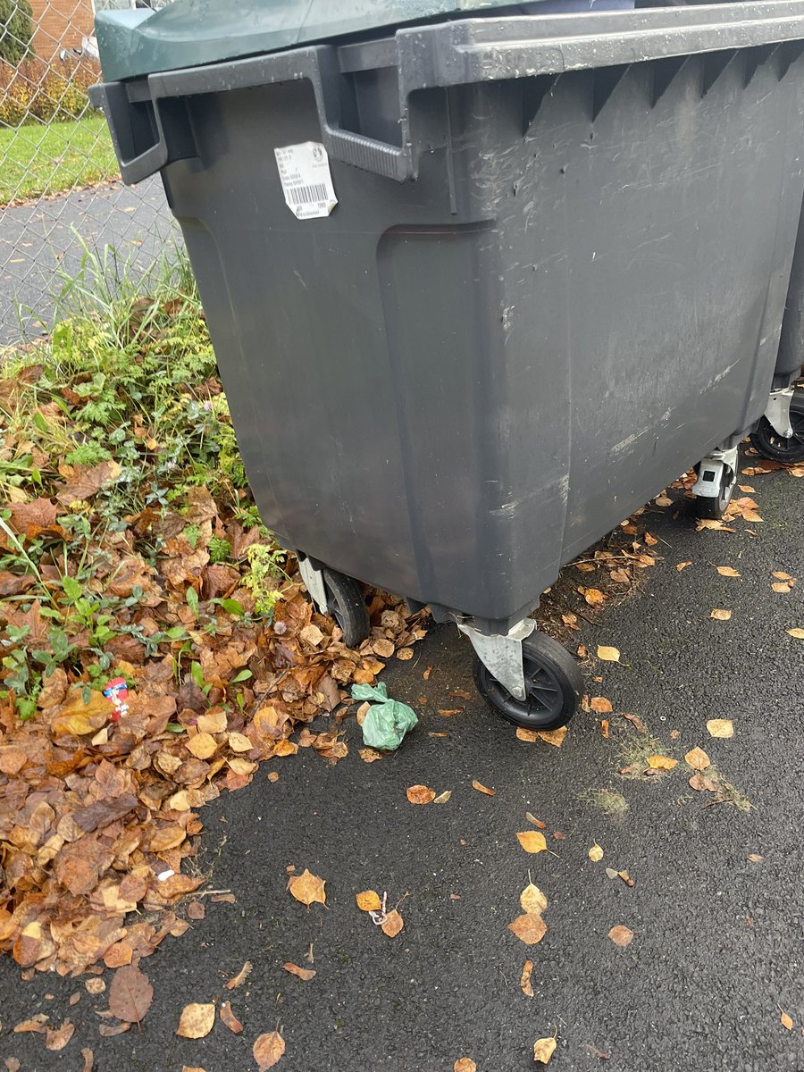 StianSkaug's tweet photo. Bare la tralten til bikkja ved siden av papircontaineren jeg da #griser https://t.co/ErwWVUcSrR