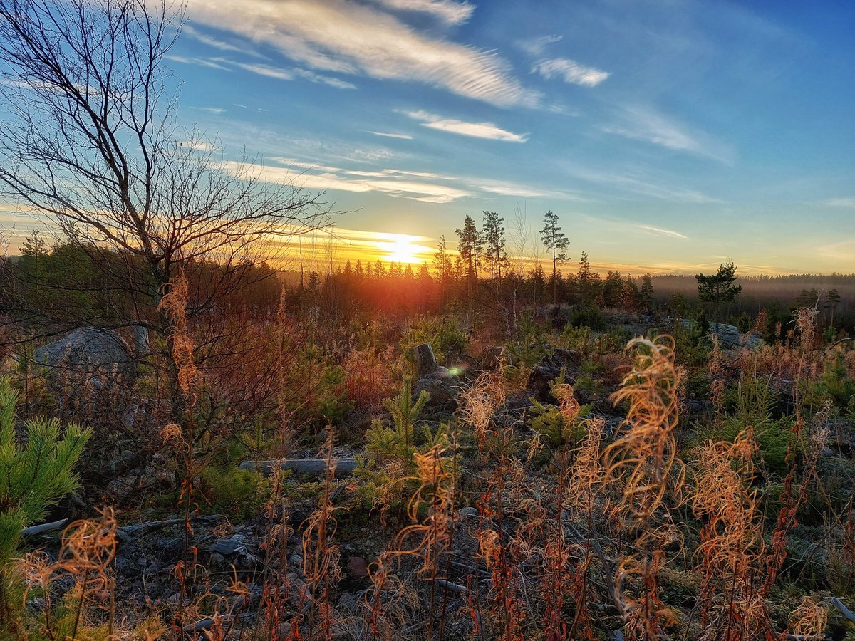 peepux's tweet image. Valo tekee tuloaan. 🌤 ❤️
#valokuvaus
#kouvola
#kuusankoski