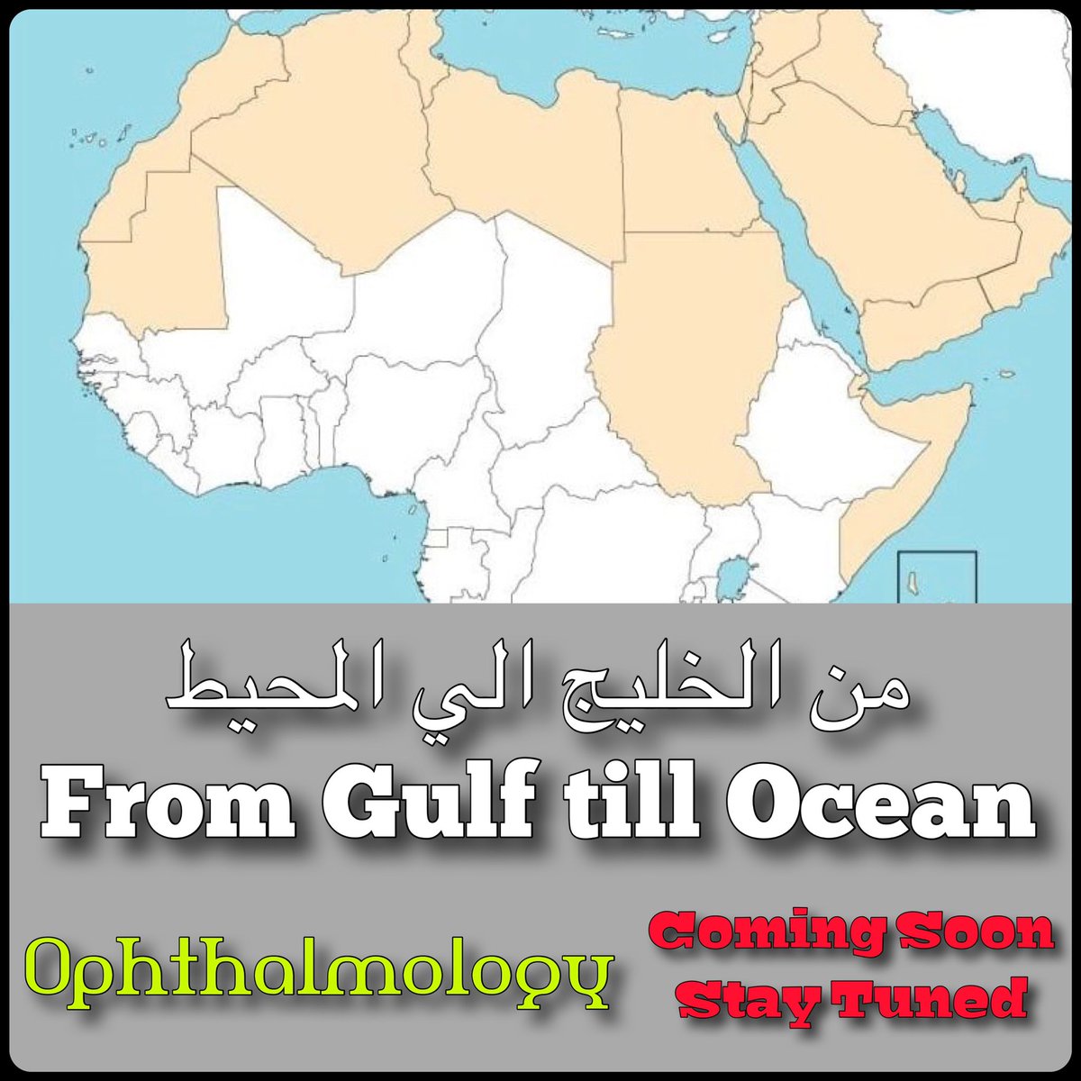 Unique HUGE Ophthalmology Project will come to the Horizon soon!!!
من الخليج الي المحيط!
From Gulf to Ocean!
#ophthalmology #gulf #northafrica #teamwork #union #science