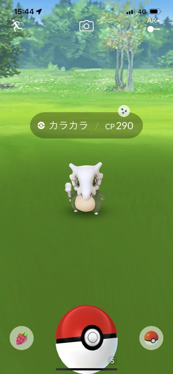 ポケモンgo カラカラの入手方法 能力 技まとめ 攻略大百科