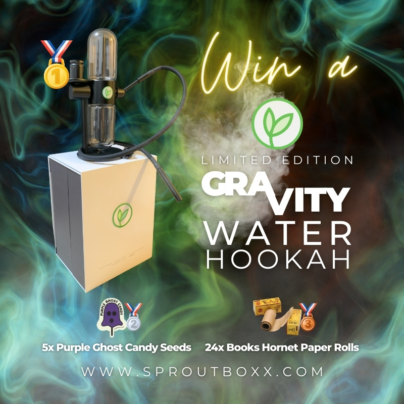 SproutBoxx's tweet photo. #SproutBoxxSpooktacular Winners:

🥇#SproutBoxx Ltd Edition Gravity Bong! - LARRYIRBY @LARRYIRBY6

🥈#SeedsmanSeeds Purple Ghost Candy Fem Seeds! - James @Jimmyandkaty 

🥉 120m Hornet organic paper rolls! - roronalaga @roronalaga 

We will be in touch soon for your contact info! https://t.co/unGX8YCbUz