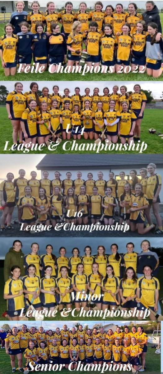 clonduffcamogs's tweet photo. The fantastic 5. Yesterday completed the club scene in Down for Clonduff Camogs. We've had a fantastic year and all the success is testament to the fantastic girls that play but also our fantastic coaches.Well done everyone 👏 💛 @downcamogie_ @OfficialCamogie  @UlsterCamogie https://t.co/8PSE6kP6b5