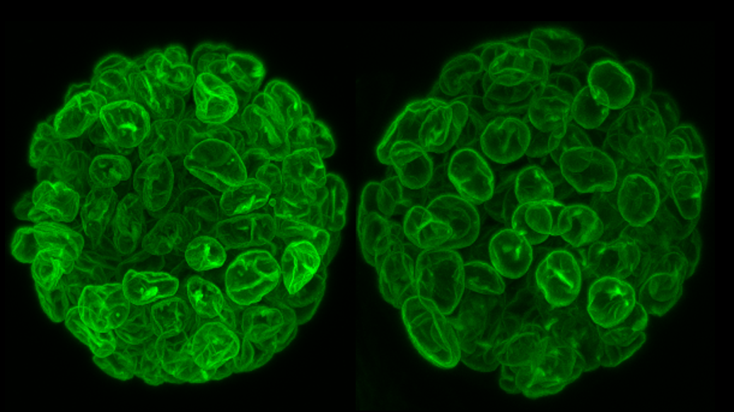 Sebastian Amos tweet media