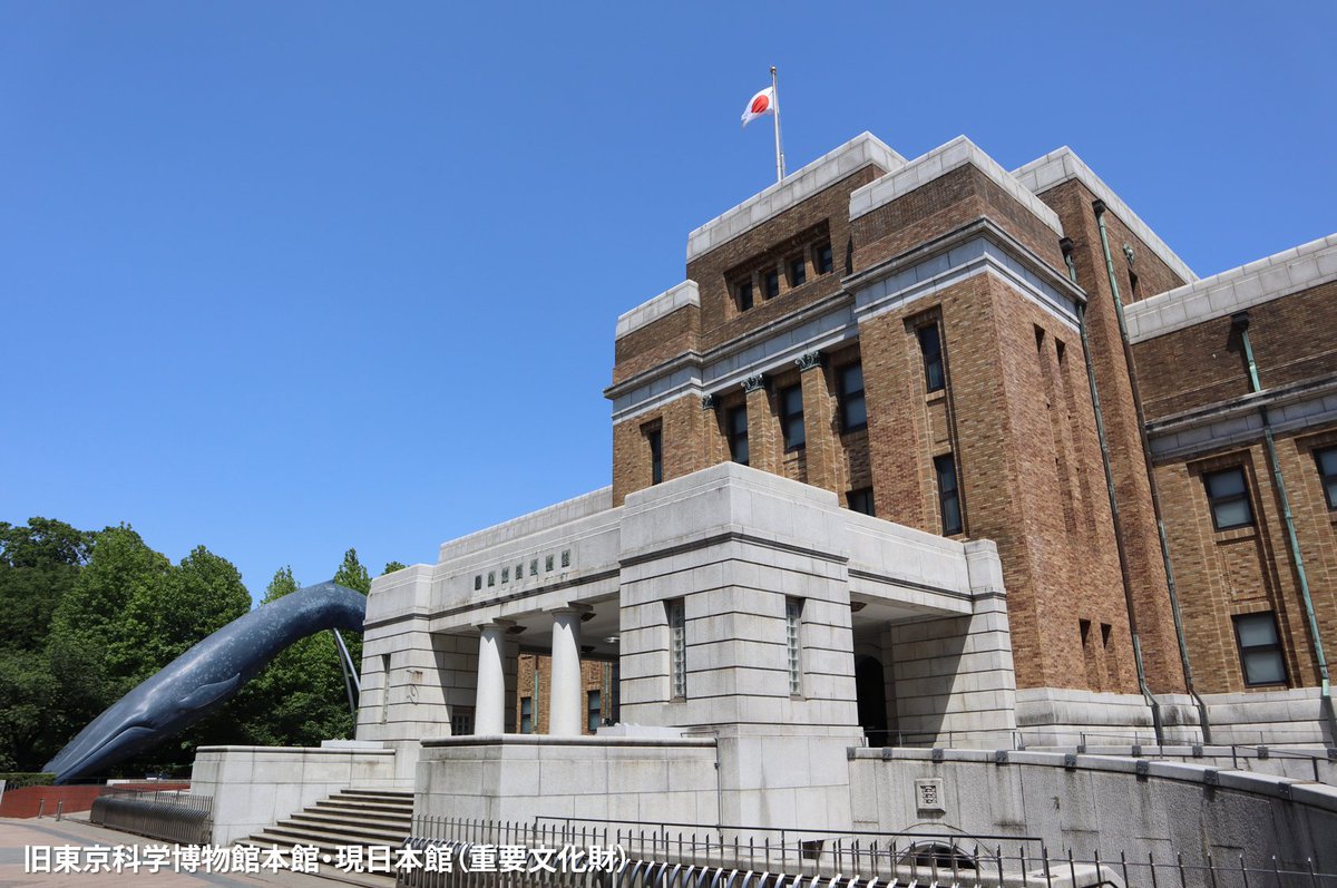かはく【国立科学博物館公式】 on X: かはく【国立科学博物館公式】 on X: