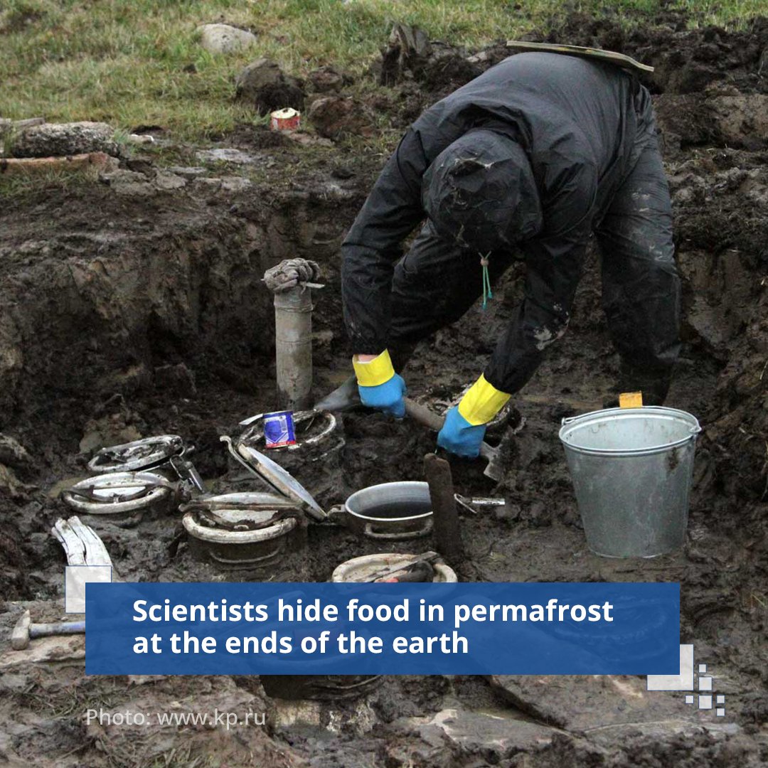 A huge natural refrigerator – the permafrost of Taimyr – has kept Moscow sweets intact. Kis-Kis toffee and Slava and Babayevsky chocolates spent 12 to 42 years in the cold.