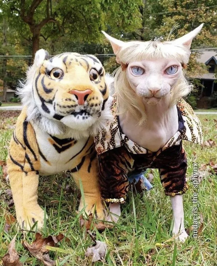 Happy Halloween you filthy animals