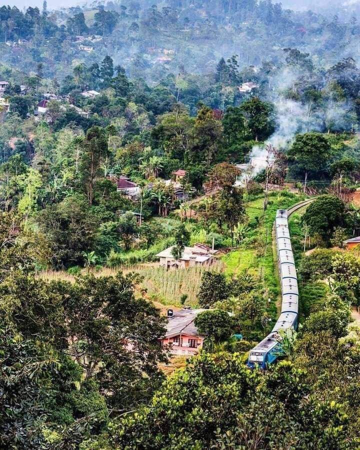 Chamira222's tweet photo. Sri lanka beautiful Countryin the world ..😍

#SriLanka #visitsrilanka https://t.co/BwUmeJogDx
