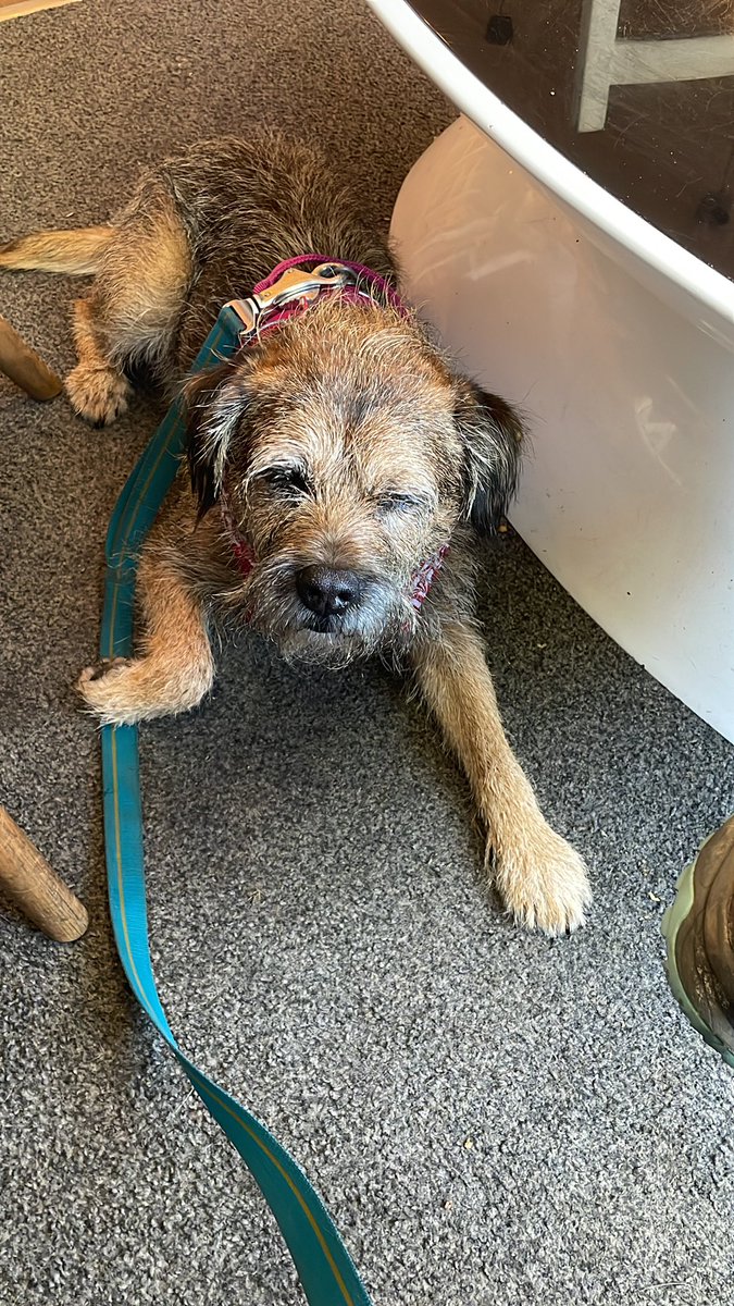 M’Lord Skipper & The Lady Fargo of Sussex (@skipperthebear) on Twitter photo Mum is getting her car MOTd and serviced today at <a href="/pdhcars/">PDH CARS LTD</a> so we’re having a bimble around Hassocks - I’m just enjoying some noms at <a href="/propercycling/">Proper Cycling</a> before we go to the park! Mum is getting her car MOTd and serviced today at <a href="/pdhcars/">PDH CARS LTD</a> so we’re having a bimble around Hassocks - I’m just enjoying some noms at <a href="/propercycling/">Proper Cycling</a> before we go to the park!